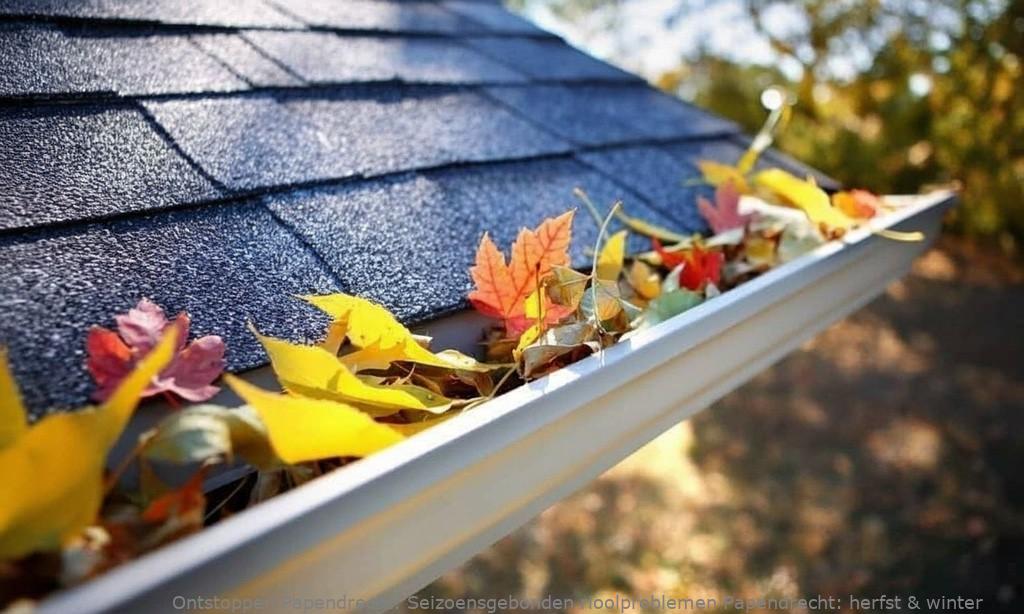 Seizoensgebonden rioolproblemen Papendrecht: herfst & winter